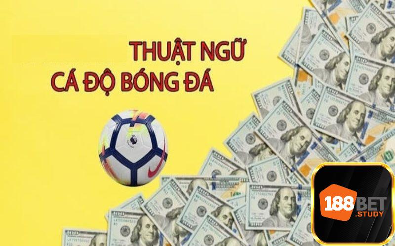 Tổng hợp thuật ngữ thường gặp